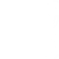 celebrer